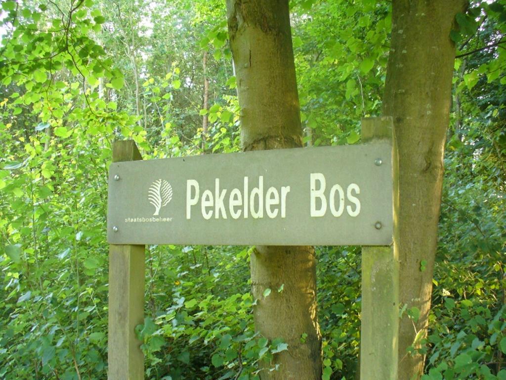 B&B De Wiekeborg Oude Pekela Exteriör bild